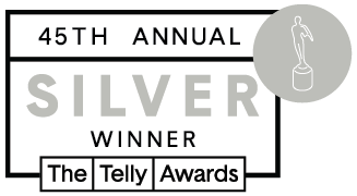 Telly_45th_Winners_Badges_silver_winner (3)